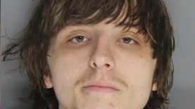 גנב האפר, צילום: צילום מסך מעצר